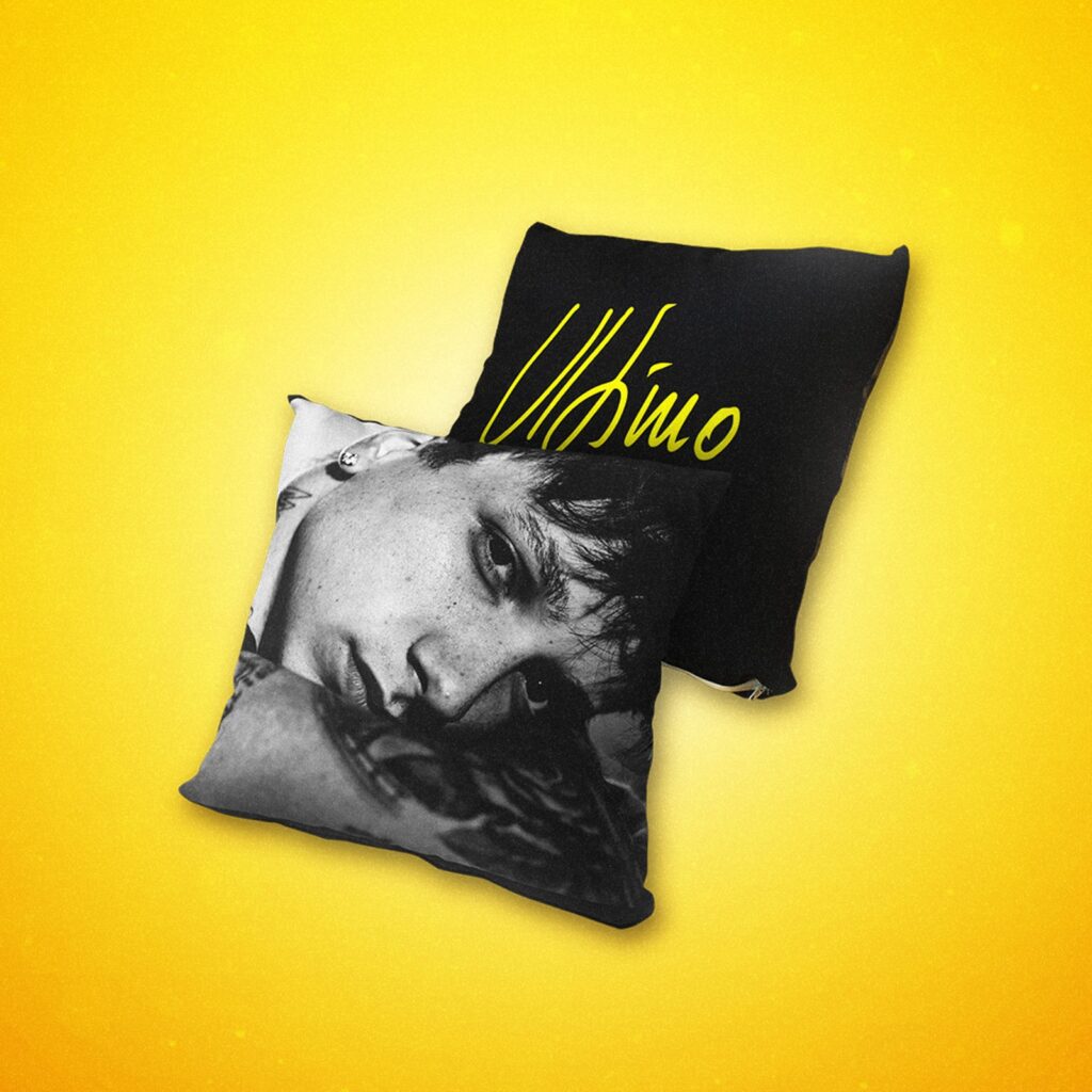 cuscino ultimo Honiro Store