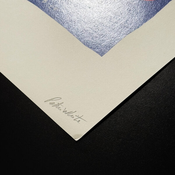 PETER WHITE - INDIMENTICABILE - immagine 3