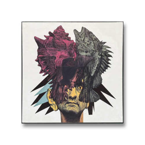 MARCO FILICIO - HARRY DEAN SKORPIONFISCH